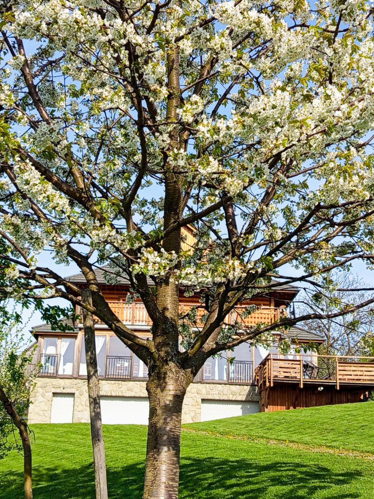 Dom Na Rozcesciu Bed and Breakfast Koniaków Eksteriør billede